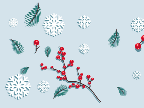 Happy holidays and a happy new year!