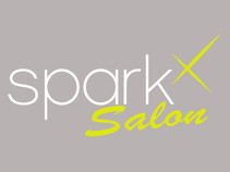 sparkXsalon01.jpg