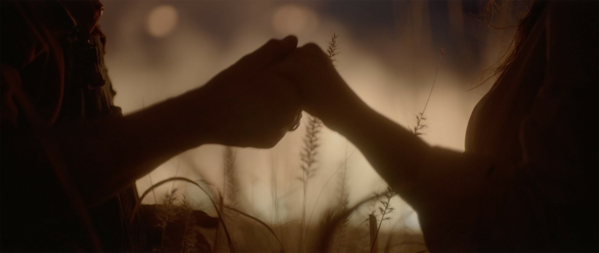 Case Study "Camille"